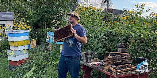 Hauptbild für Introduction to Beekeeping in Baltimore