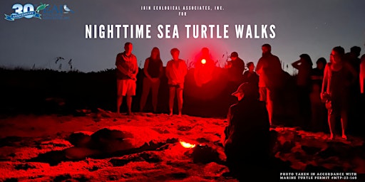 Primaire afbeelding van EAI's 2024 Nighttime Sea Turtle Walk