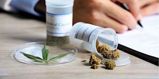 Primaire afbeelding van Get your Medical Cannabis Card - Doctor in the House