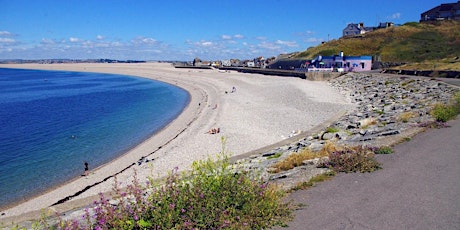 Great Dorset Beach Clean 2024 (Chesil Cove)