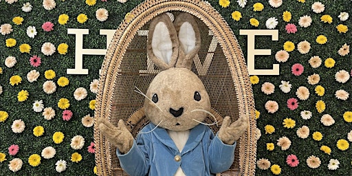 Imagem principal de Saturdays with the Easter Bunny