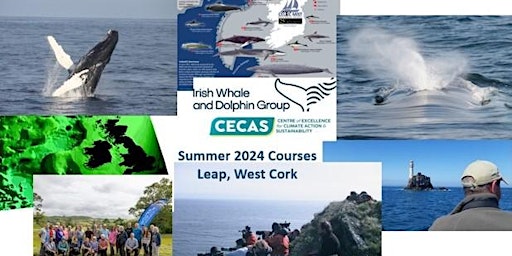 Hauptbild für Residential Weekend Whale Watching & Identification Course in West Cork