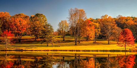 Master Your Camera Controls - Photography Workshop