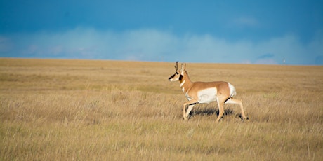 44th Annual Alberta Bowhunters Association Banquet - The Prairie Pursuit