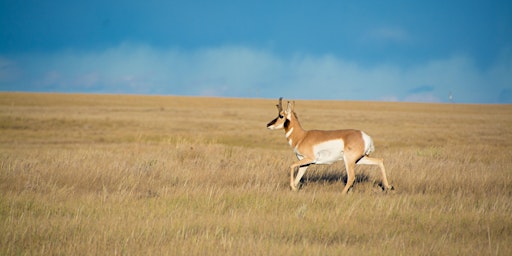 44th Annual Alberta Bowhunters Association Banquet - The Prairie Pursuit primary image