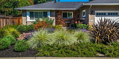 Water-Wise Landscape Design and Plant Selection