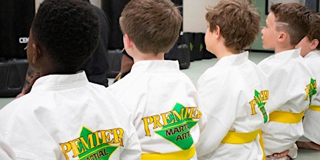 FREE Karate for Concentration Workshop for Kids Ages 5-12 primary image