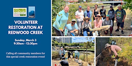 Volunteer Restoration Workday at Redwood Creek primary image