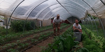 Image principale de Garcia's Gardens Farm Tour