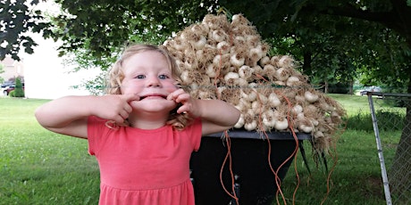 The Great Gathering of Garlic at Garcia's Gardens