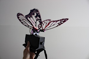 Imagem principal do evento Make a Robot Butterfly