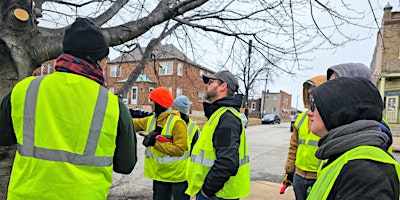 Imagem principal de Bevo Neighborhood Tree Care Blitz