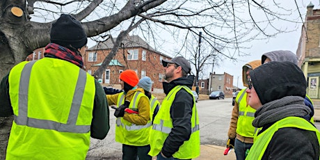Bevo Neighborhood Tree Care Blitz