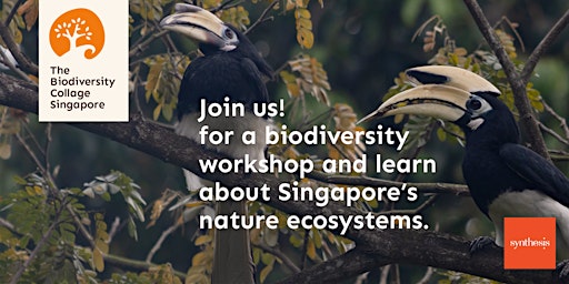 Imagem principal do evento Biodiversity Collage @Synthesis