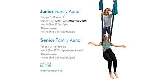 Imagen principal de Junior Family Aerial Age 7-12 (Monthly Workshop)