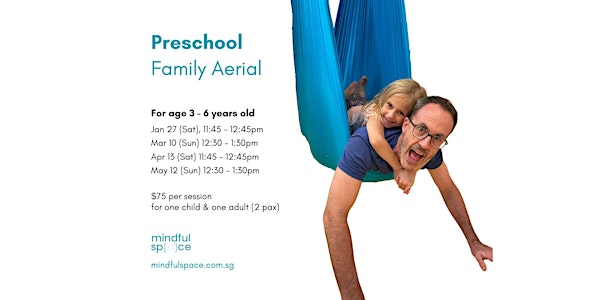 Pre School Family Aerial Age 3-6 (Monthly Workshop)
