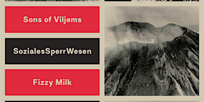 Imagem principal de Sons of Viljems - SozialesSperrWesen - Fizzy Milk