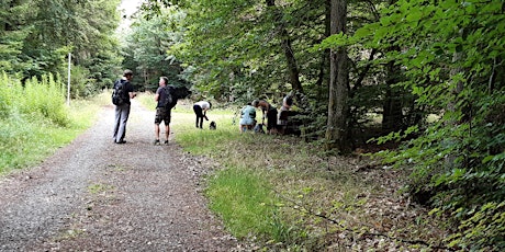 Hauptbild für Soonwald für Suchende