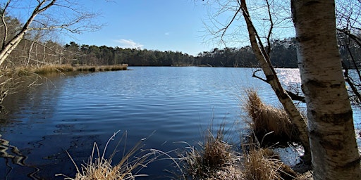 Imagem principal do evento Vroege ochtendwandeling ‘Ontluikend Reestdal’ met ontbijt