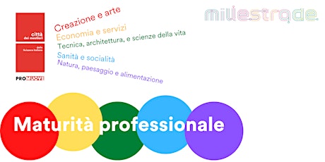 Imagen principal de ONLINE_Maturità professionale