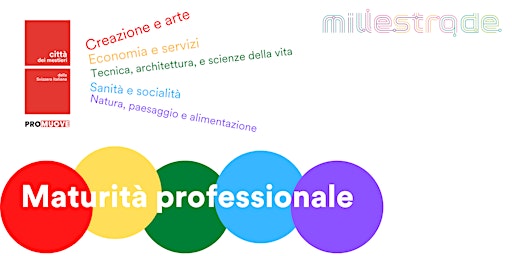 Hauptbild für ONLINE_Maturità professionale