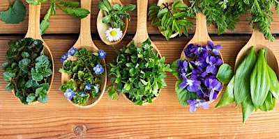 Primaire afbeelding van Herbal Medicine Workshop - Spring