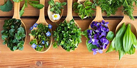 Herbal Medicine Workshop - Spring