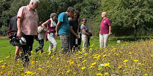 Imagem principal do evento Create a Wildflower Meadow