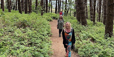 Hauptbild für Forest Medicine Leadership