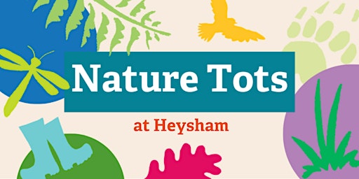 Nature Tots at Heysham Nature Reserve - 10th July 2024 primary image