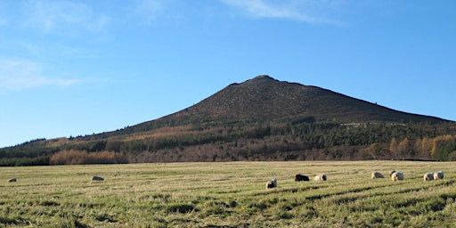 Primaire afbeelding van Mither Tap- Craigshannoch Walk