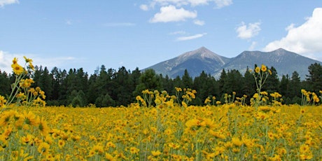 Northern Arizona University Information Session