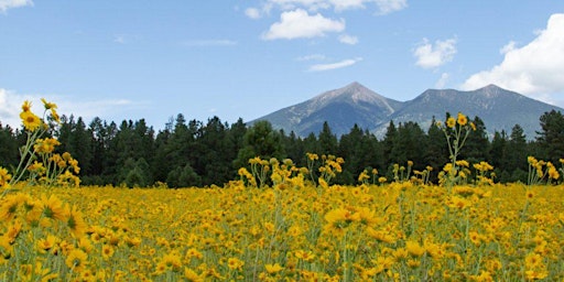 Northern Arizona University Information Session primary image