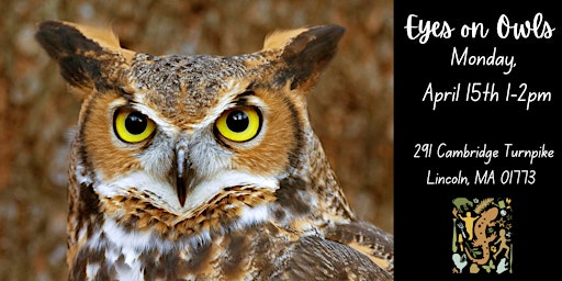 Eyes on Owls at Farrington Nature Linc - April 2024 primary image