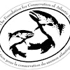 Logotipo da organização FCAS-FCSA