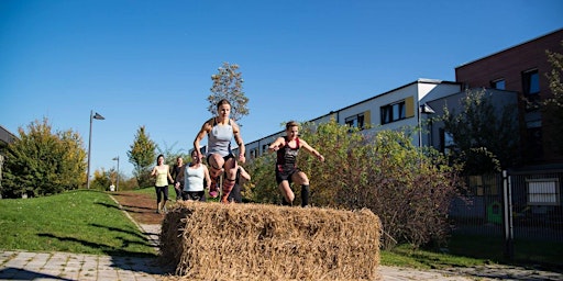 Hauptbild für Frankfurt OCR Sprint