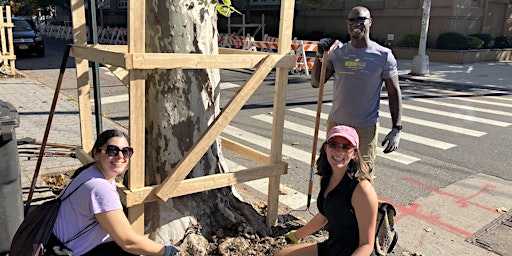 Primaire afbeelding van Street Tree Care w/ Berry Open Street -- RAIN DATE