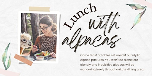 April  Lunch with Alpacas primary image