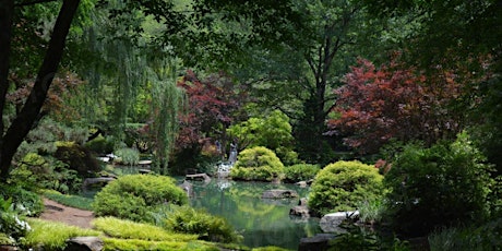 Speaker Series: Making the most of your urban garden primary image