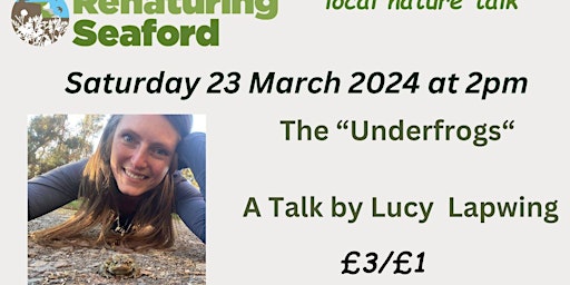 The Underfrogs - by Lucy Lapwing primary image