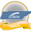 Logotipo de TNSUG Steering Committee