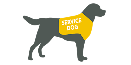 Hauptbild für Visit Norman the Service Dog at NYCEM!