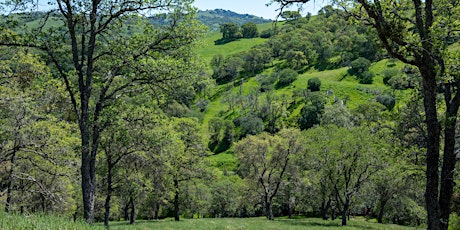 Smith Canyon Property Dedication