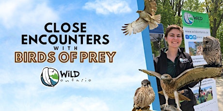 Close Encounter with Wild Ontario - Birds of Prey primary image