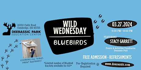Hauptbild für Wild Wednesday - Bluebirds