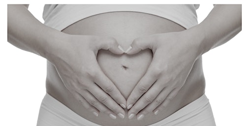 Hauptbild für Pregnancy After Loss: A Parent's Perspective - Bereavement Training