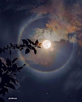 Dance in the Dark for the Full 'Pink' Moon with Move in Nature primary image