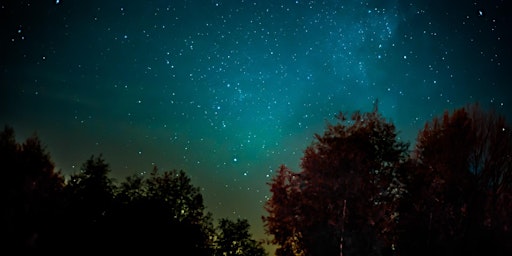 Hauptbild für Vortrag: Was leistet die Vedische Astrologie? Erfolg durch Ortsenergie.