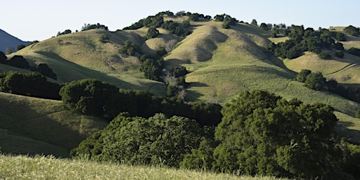 Imagem principal do evento Trail Stomp - Run with Save Mount Diablo