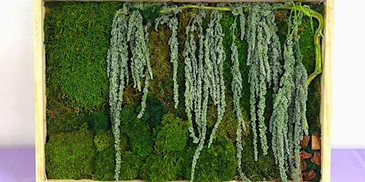 Image principale de Moss Wall Workshop